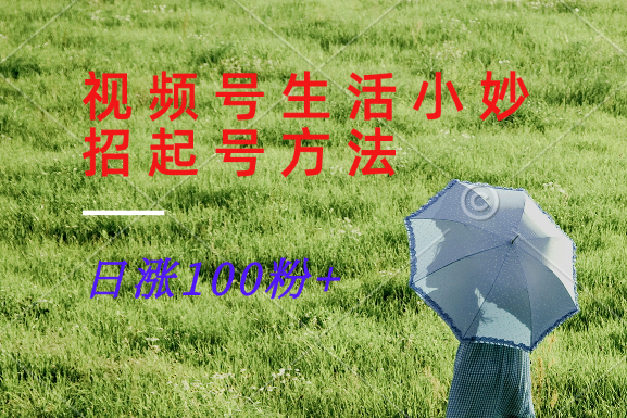 视频号生活小妙招分享赛道， 起号涨粉新方法，日涨100粉-蜜桃网创