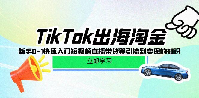 (10035期)TikTok-出海淘金，新手0-1快速入门短视频直播带货等引流到变现的知识-蜜桃网创