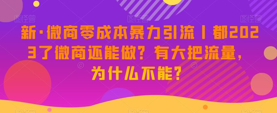 新·微商零成本暴力引流丨都2023了微商还能做?有大把流量,为什么不能?-蜜桃网创