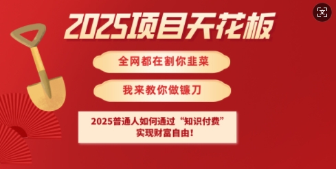 2025项目天花板普通人如何通过知识付费，实现财F自由【揭秘】-蜜桃网创